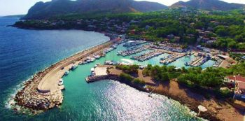 Marina de Bonaire Cocodrilo