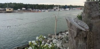 Circolo Nautico Marina Romea