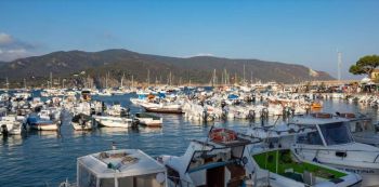 Porto di Marina di Campo