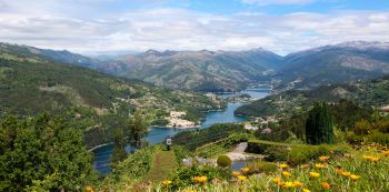 Viana do Castelo Marina