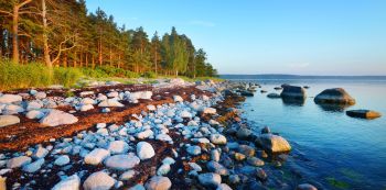 Laane Virumaa Marina