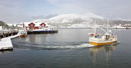 Stokmarknes Marina