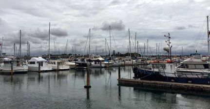 Tauranga Bridge Marina Marina