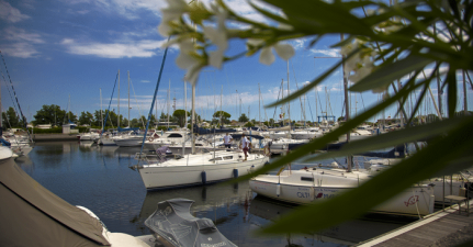 Marina Degli Estensi Marina