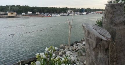 Circolo Nautico Marina Romea Marina