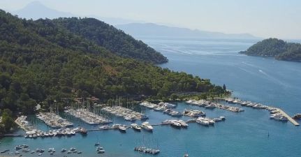 D-marin Gogek Marina