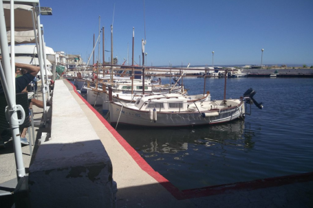 Club Marítimo Molinar de Levante Marina