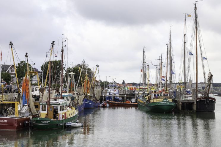 Terschelling Marina