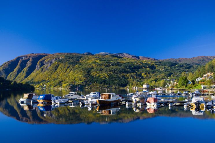 Ulvik Marina