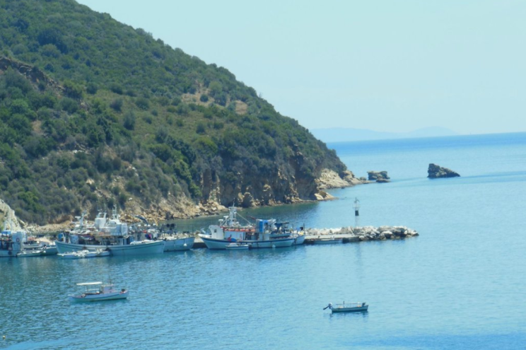 Platania Marina Marina