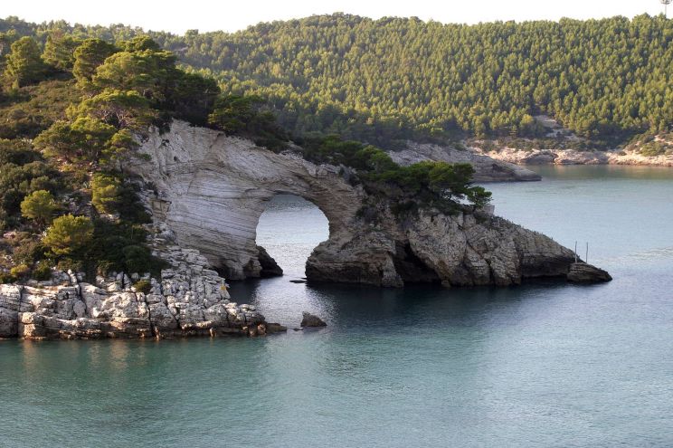 Marina del Gargano Marina
