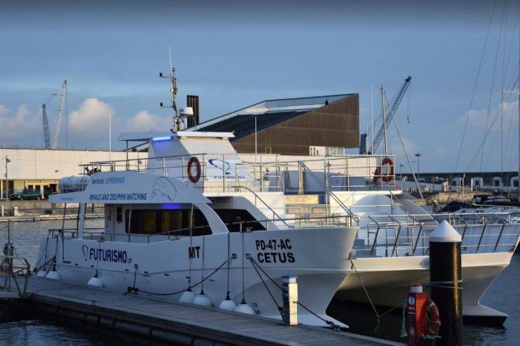 Marina de Ponta Delgada Marina