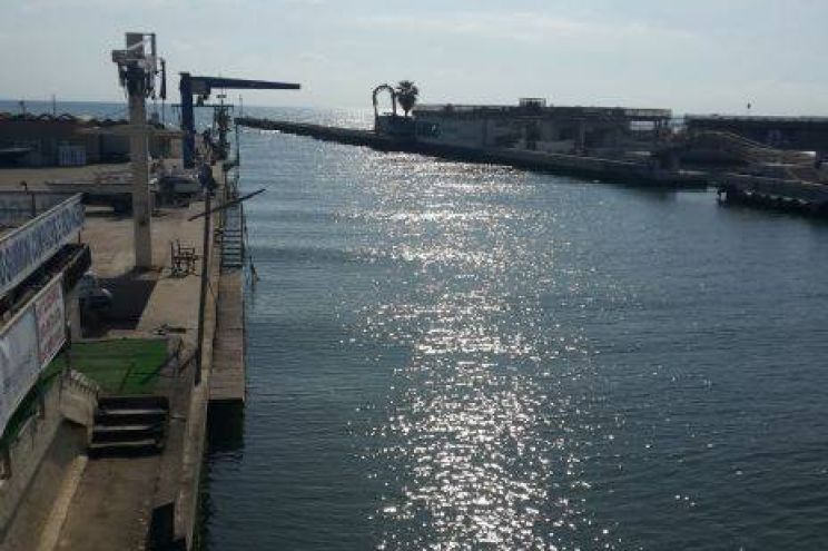 Cinquale Marina Marina